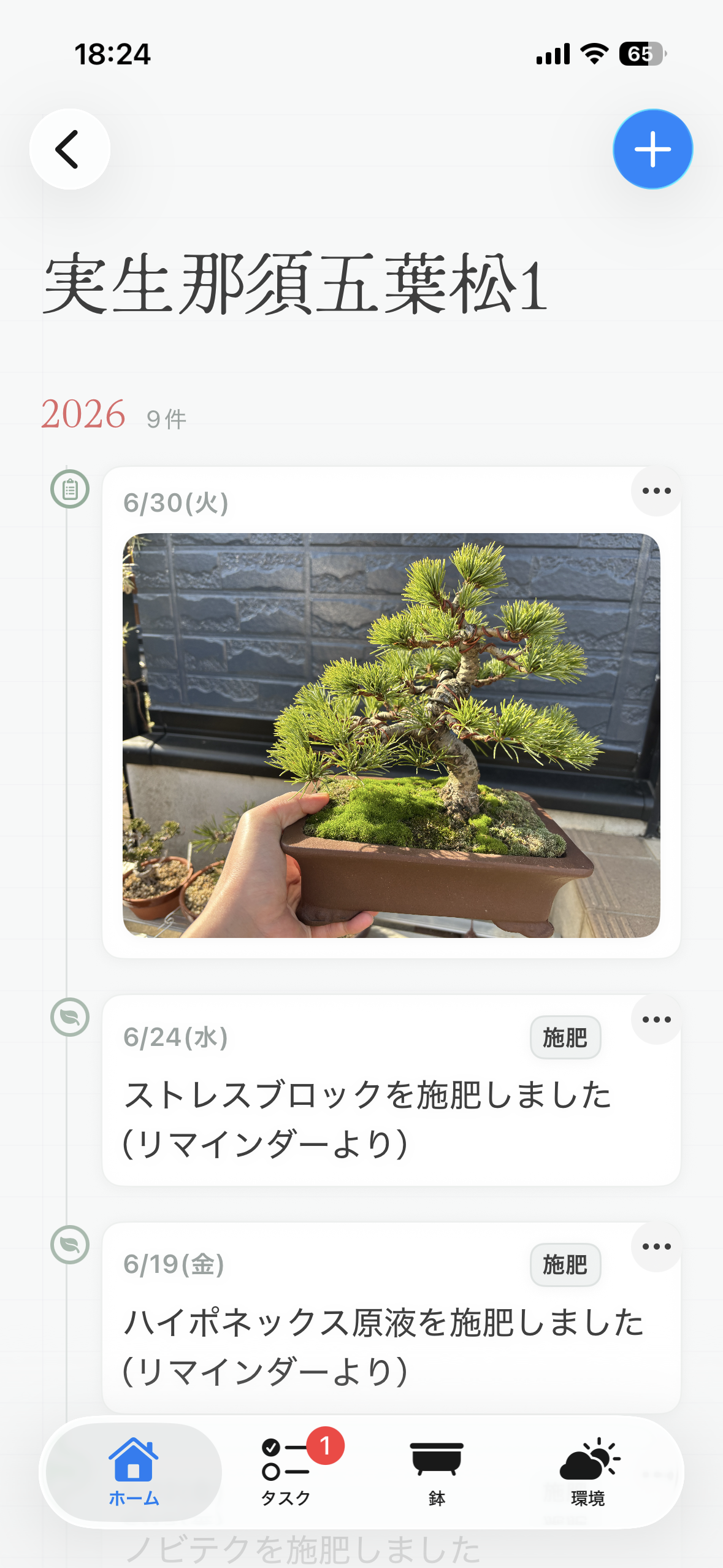 NurLogで五葉松の写真つき作業ログを表示している実際のアプリ画面